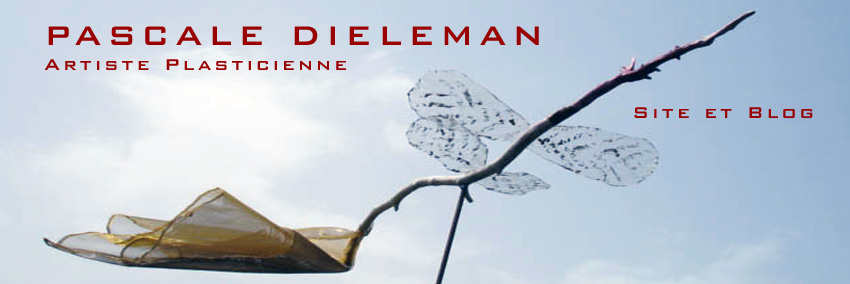 Pascale Dieleman, artiste plasticienne, site et blog